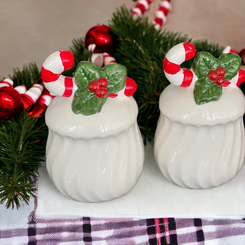 Vintage Brinns Candy Cane Holly Salt and Pepper Shaker Set Christmas Gift